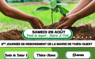 Commune de Thiès-Ouest : environnement et cadre de vie