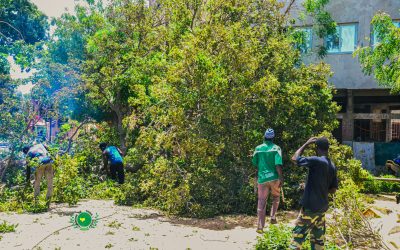 CADRE DE VIE : Élagage des arbres dans certaines artères de la commune.